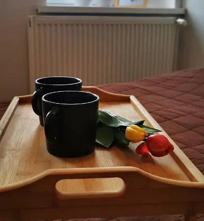Apartament Kamienica Radków