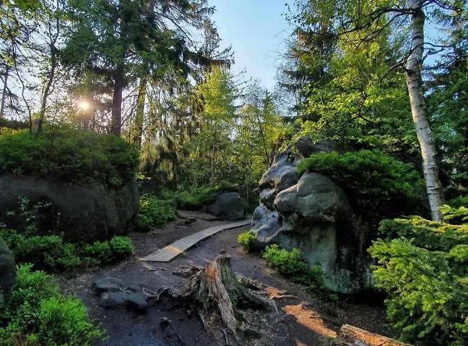 Kamienica Apartment *