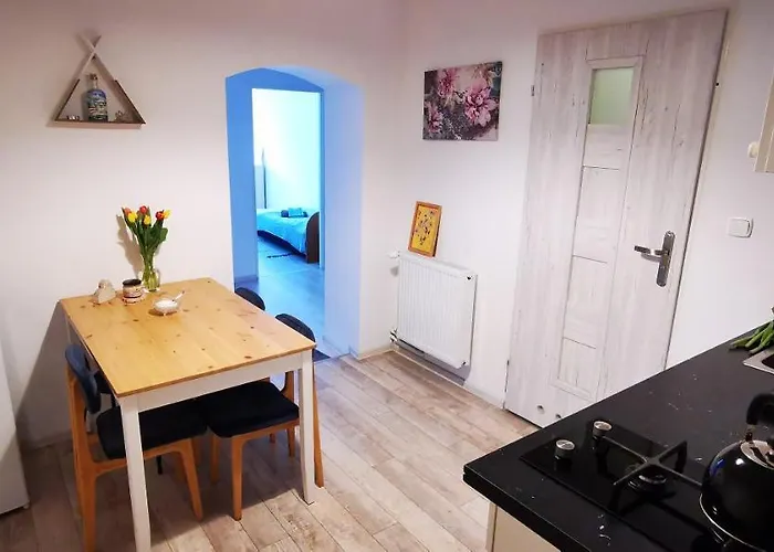 Kamienica Apartment *